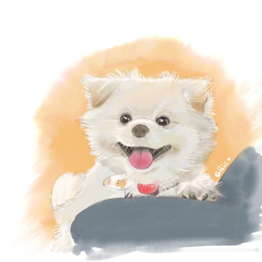 엘리1